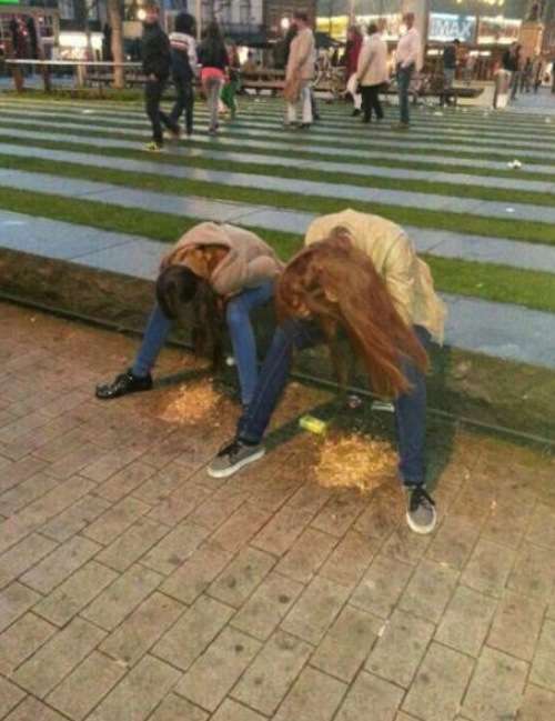 Hock vomit