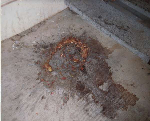 Motel puke vomit