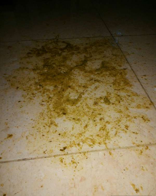 Natasha puked in living room 1 vomit