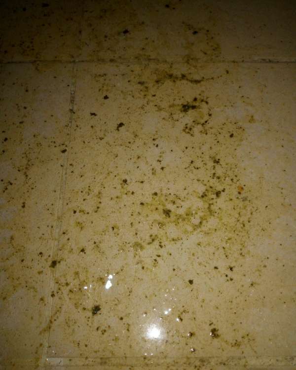 Natasha in the kitchen3 vomit