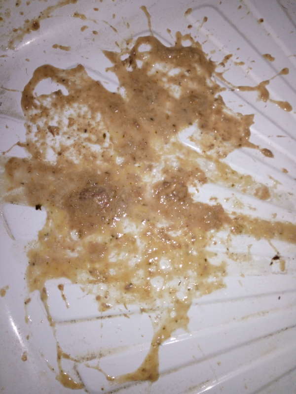 Natasha thick meal 1 vomit