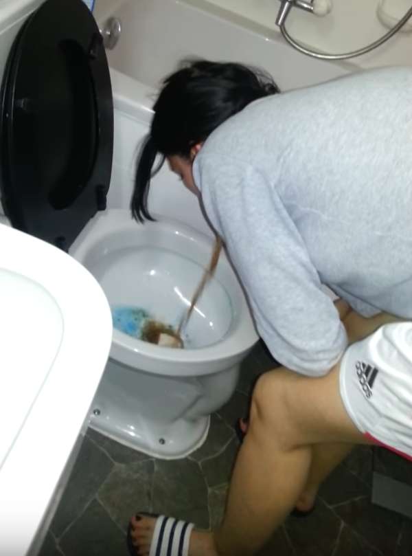 Brown barf meets blue toilet water vomit.
