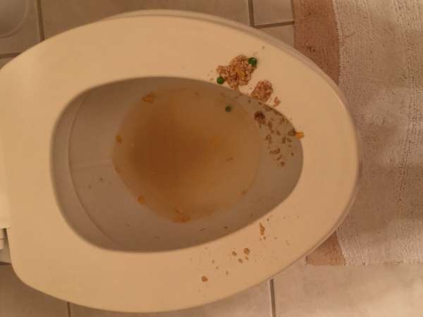 Fake vomit exposure vomit