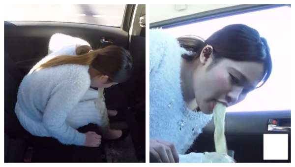 Two angles on carsickness vomit