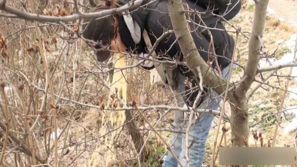 Emesis behind a tree vomit