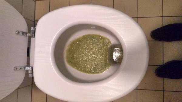 Ate a lot of veggies vomit