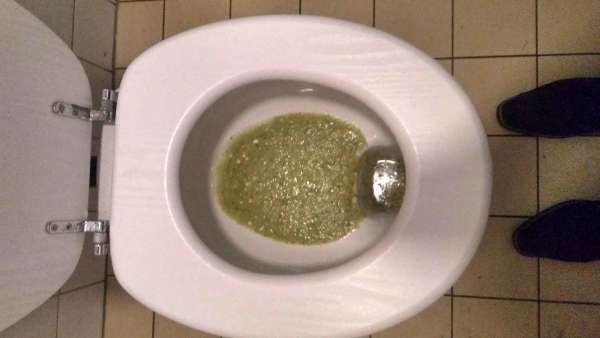 Ate a lot of veggies vomit