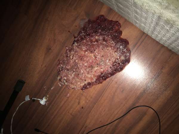 Shrimp Cherries and Mushroom Pizza Don't Mix vomit