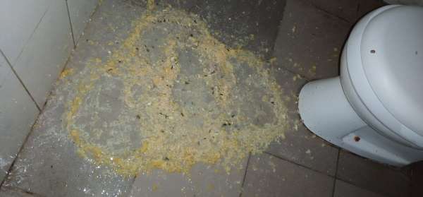 The aftermath of overeating vomit