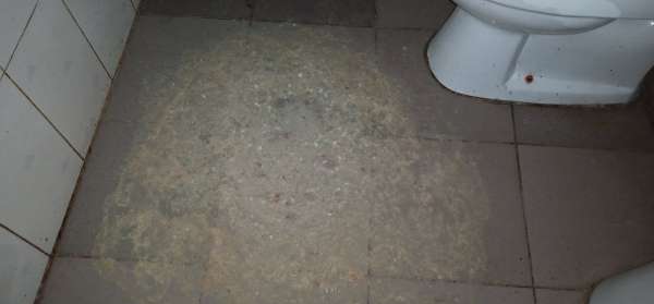 Too much vanilla ice vomit