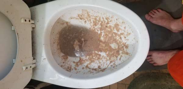 Over stuffed myself 🤦‍♂️ vomit