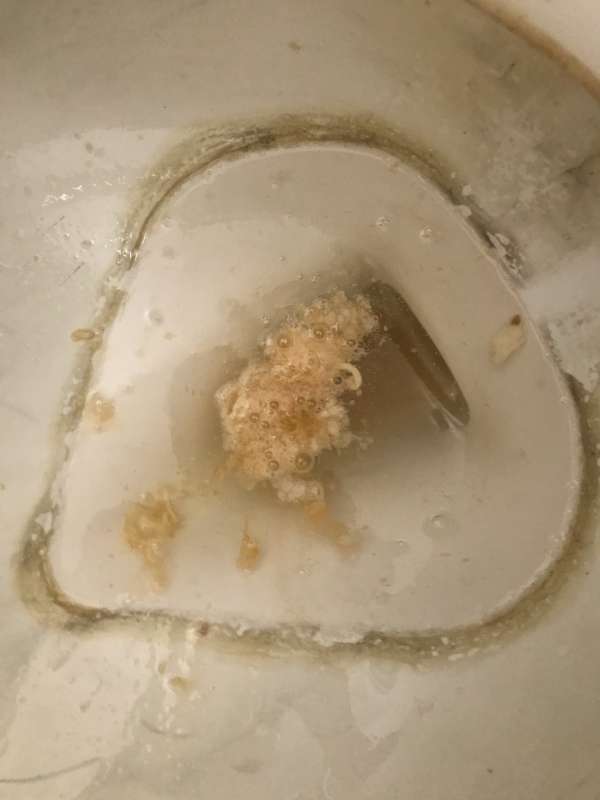 Ramen public restroom vomit vomit