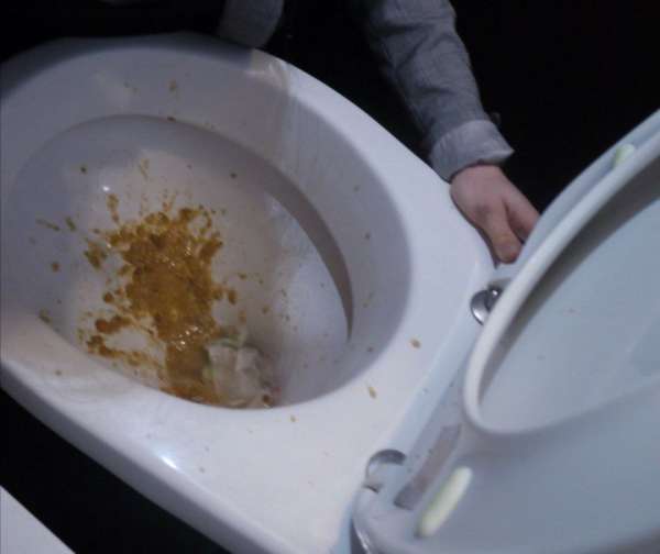 vegan vomit in a bar's toilet vomit