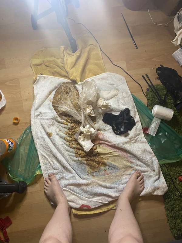 Amateur preform 1 vomit