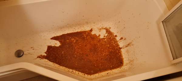 Virus in the gut goes round and round vomit