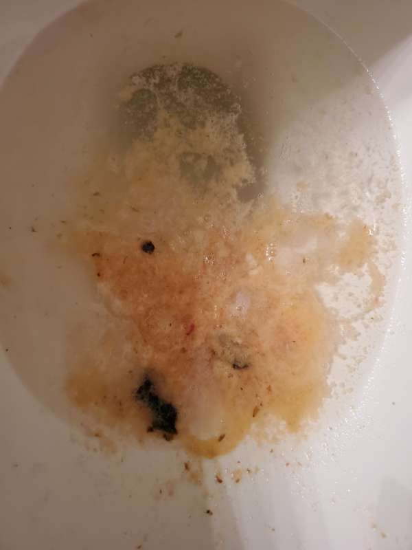 sushi with siracha mayo vomit