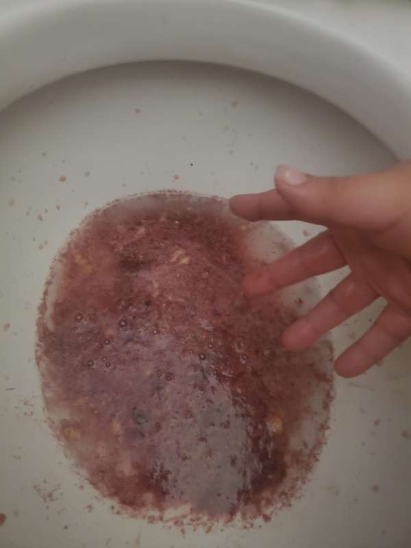 wine and biscuits. vomit