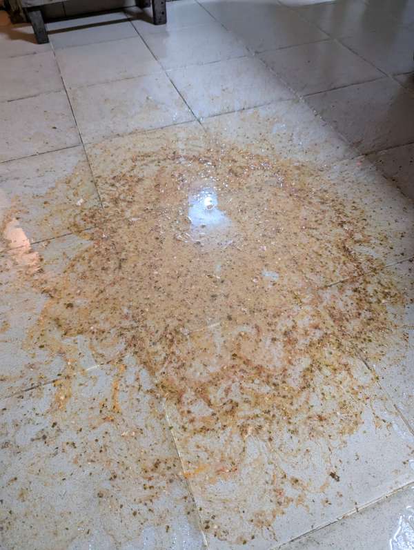 Big puke in the living room vomit