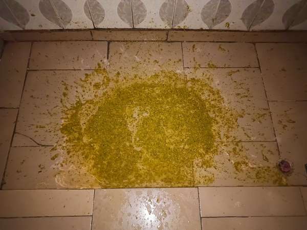 Cassava leaves and rice vomit