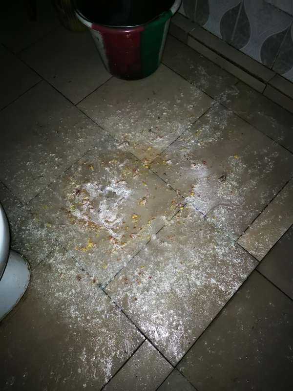 Monstrous puke vomit