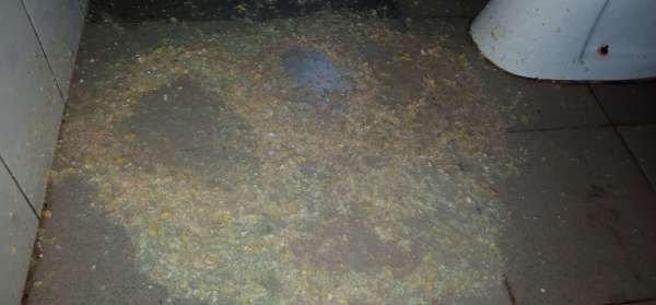 I was drunk that night vomit