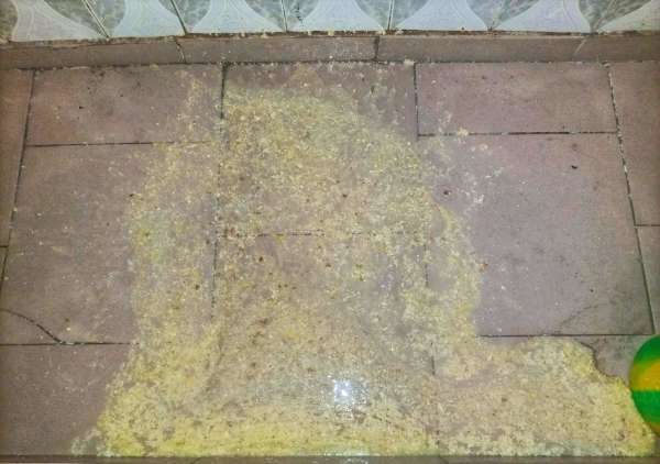 Malaria causes vomiting 2 : the aftermath vomit