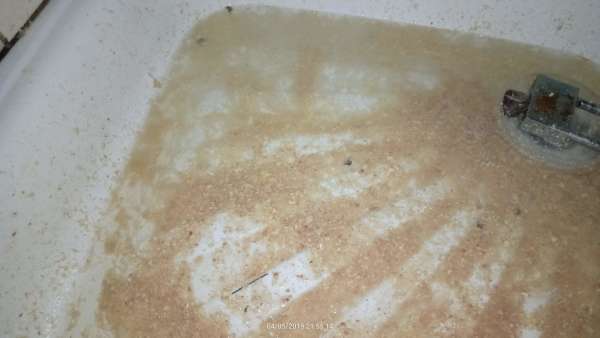 Water cure gone wrong vomit