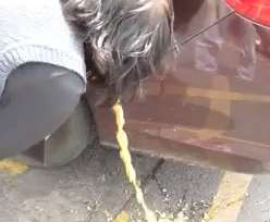 Stop the car so Charissa can vomit vomit