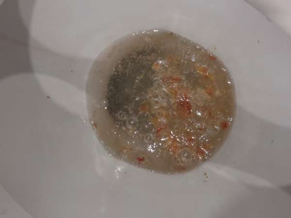 Water with porridge and tomatos vomit