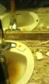 Super sink puke 3 vomit