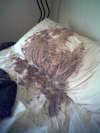 Sleeping Pukey vomit