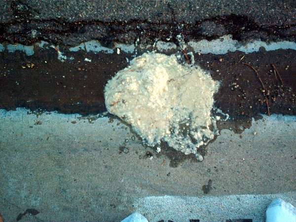 Chunky Potato Chips! vomit