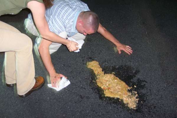 Birthday Aftermath vomit