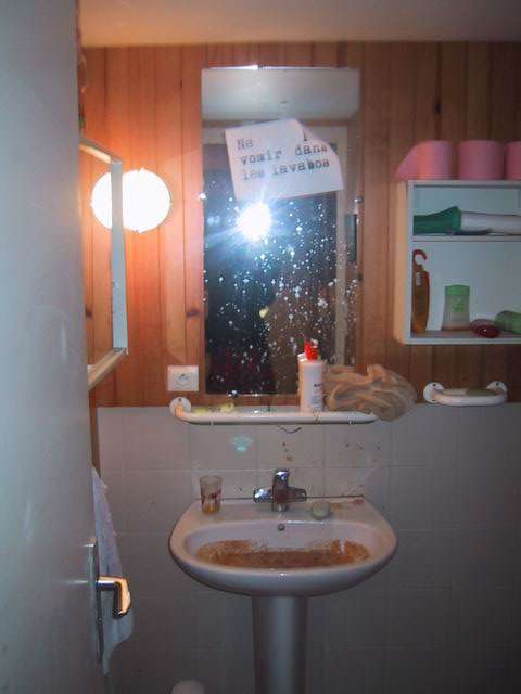 "DO NOT VOMIT IN THE SINK" vomit