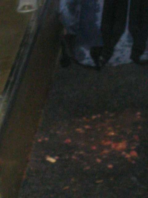 puke in the bus with chewinggum vomit