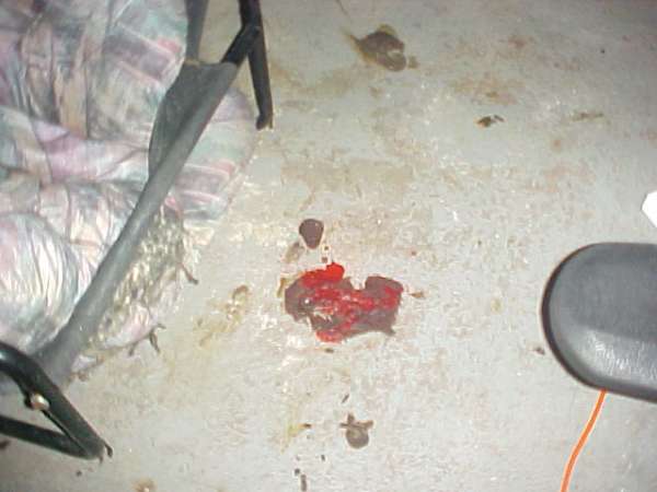 mmm Cake and cherries vomit