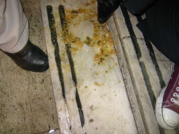 Her24thBday vomit