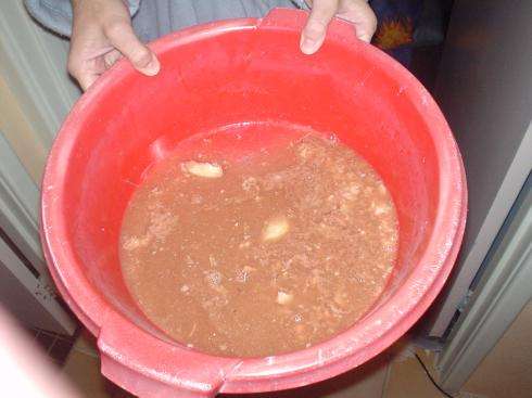 Beer + Potatoes vomit