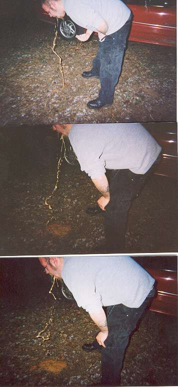 dave wild turkey and bolognia vomit