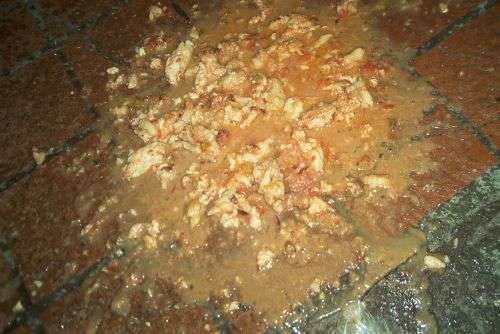 beer and pizza vomit