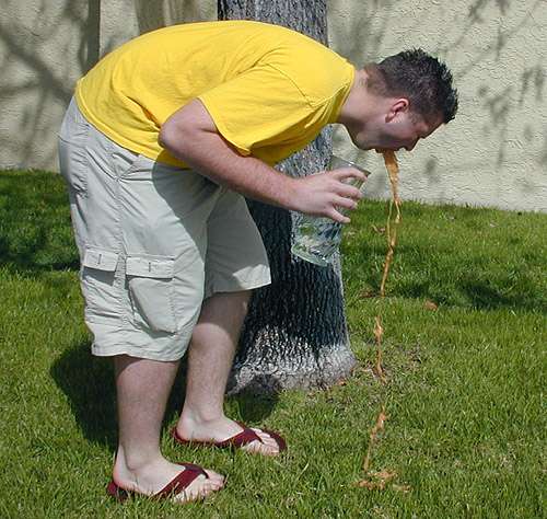 bottle of hot sauce + big lunch = THIS vomit