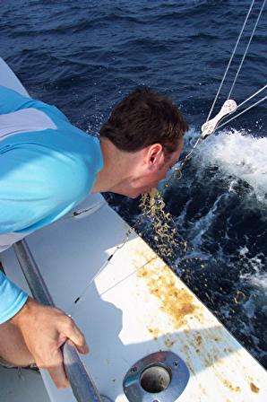 hungover deep sea fishing vomit