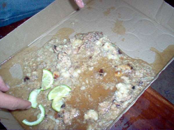 He ate the lemons afterwards vomit