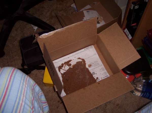 Ho! Ho! *Heave* vomit