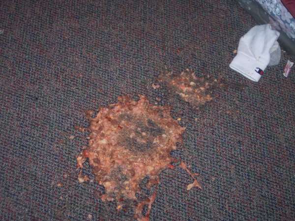 cant keep it down vomit