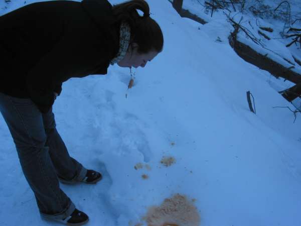 Snow-Puke vomit