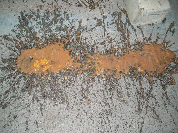 italien absynthe vomit