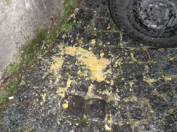 ITALIEN ABSYNTHE PART 3 vomit