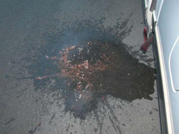 Coming Down The Mountain vomit