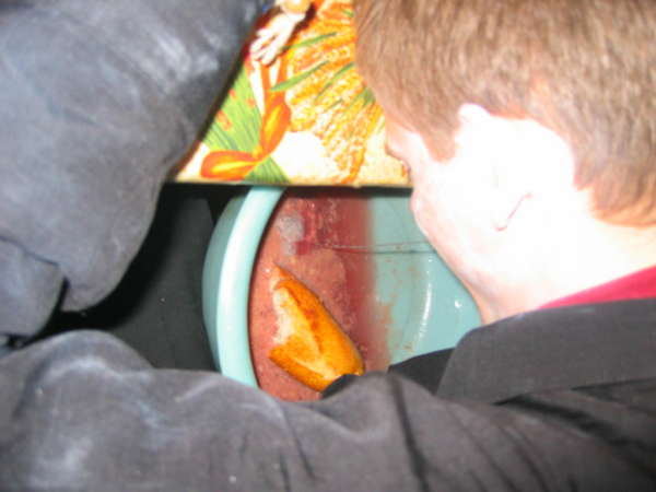 Red Wine Power 3 vomit